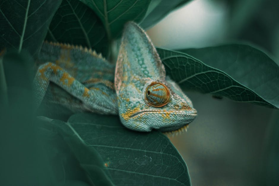 Avoiding Detection with Proxy Behavior Mimicry